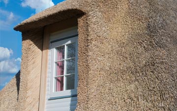 Higher Gabwell thatch roof disadvantages